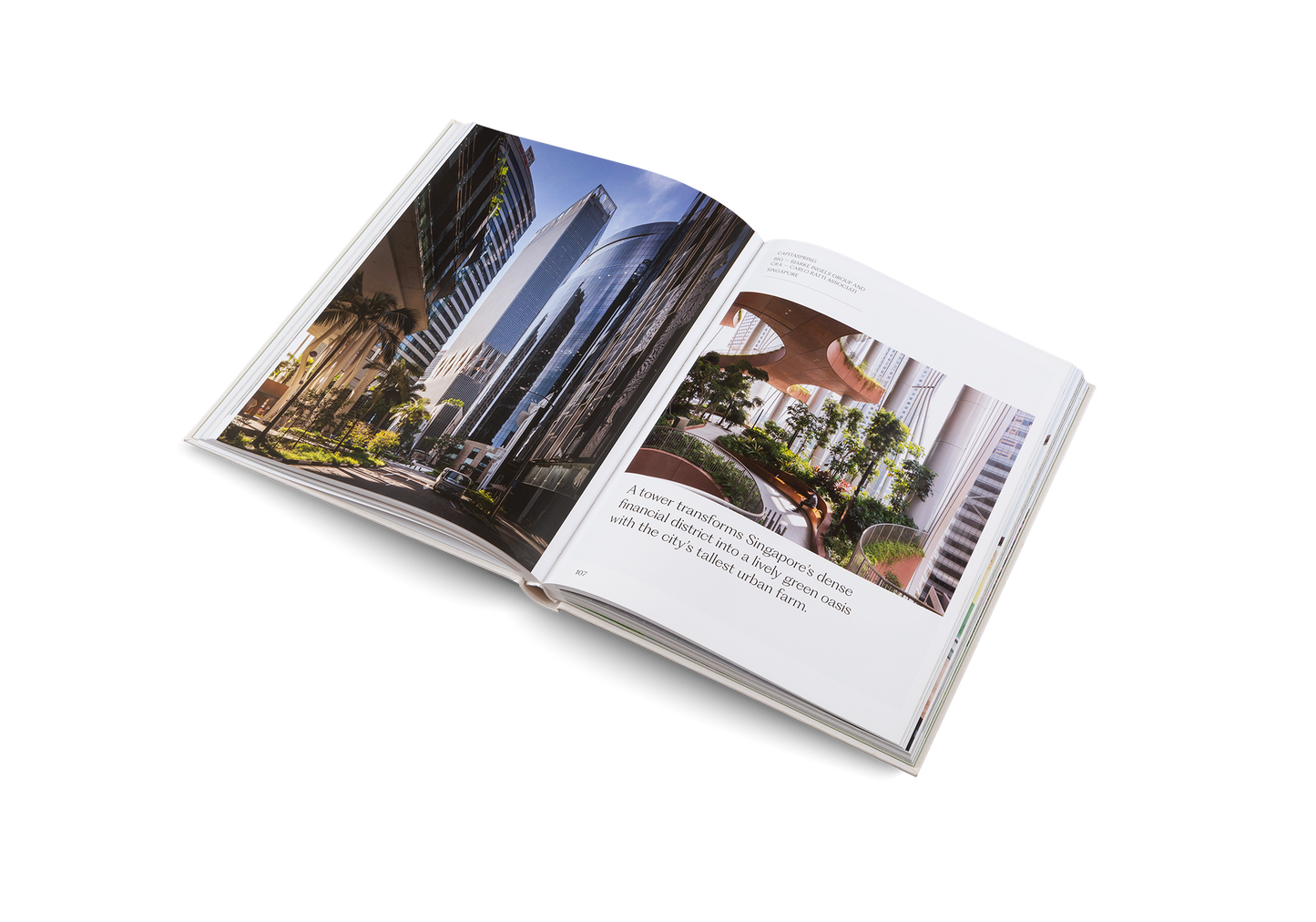 The House of Green: Natural Homes and Biophilic Architecture